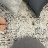 Eliza Grey Oriental Distressed Transitional Rug