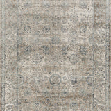 Grace Beige Faded Wash Transitional Rug
