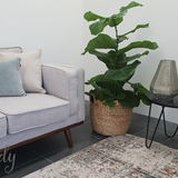 Bella Grey Distressed Vintage Rug