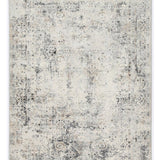 Eliza Grey Oriental Distressed Transitional Rug