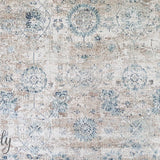 Grace Beige Faded Wash Transitional Rug